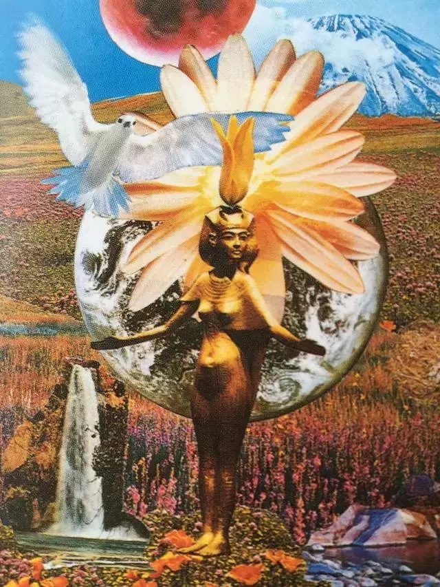 戴娜·格哈特 金星